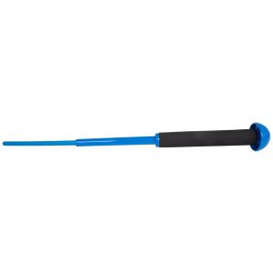Blue Training Systems - Blue Baton
