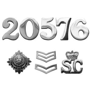 Chrome Numbers & Insignia