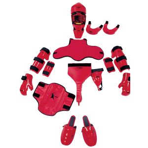Body Guard Protector