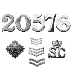 Chrome Numbers & Insignia