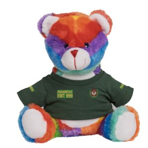 CUSTOMISE ME - Niton999 Kids Ambulance or Paramedic Rainbow Bear-Paramedic
