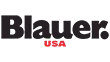 Blauer Logo